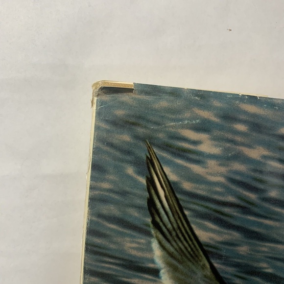 The Pleasure of Birds Hardcover Les Line An Audubon Treasury Ornithology… - Picture 3 of 8